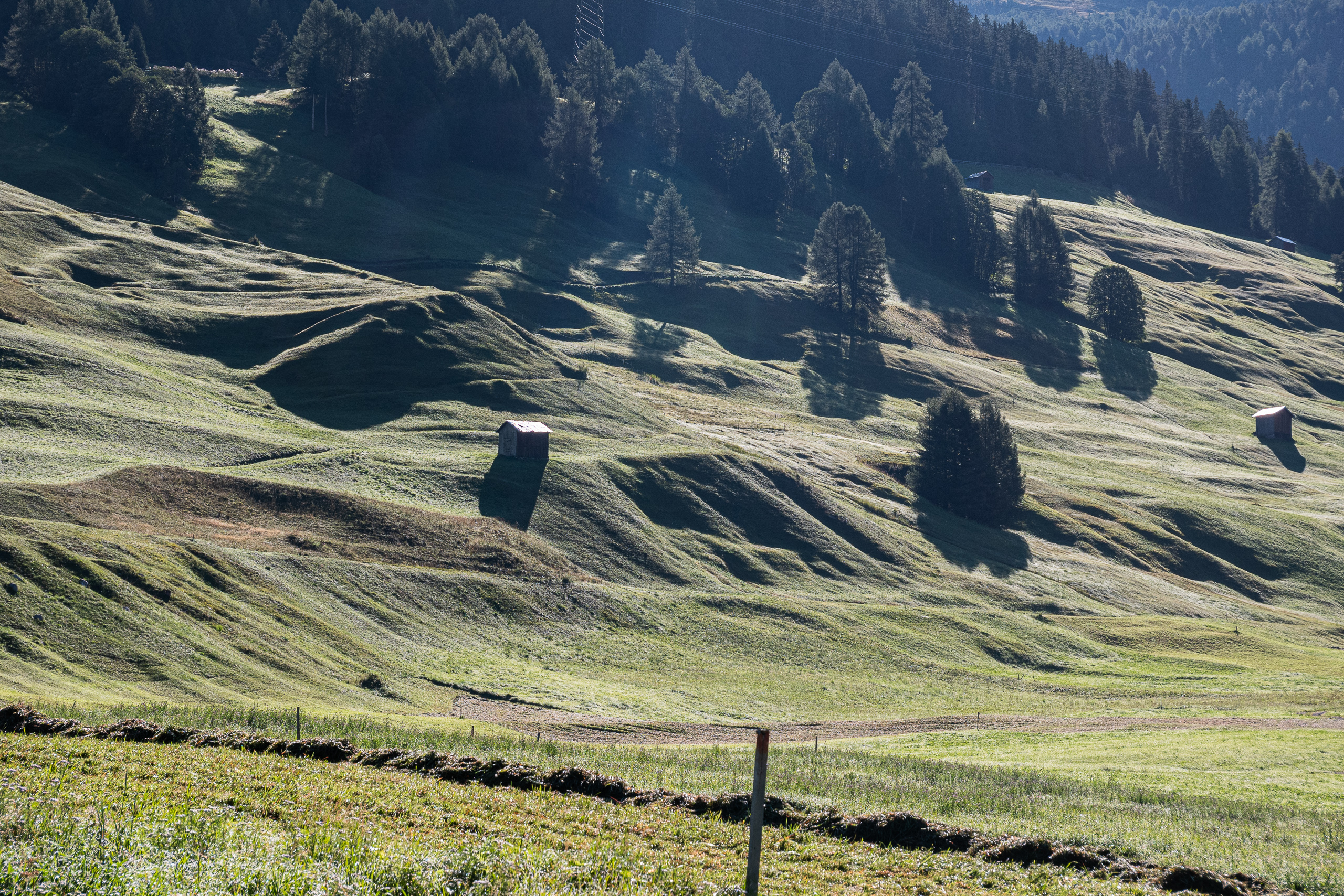 Heustadel auf den welligen Wiesenhängen im Gegenlicht